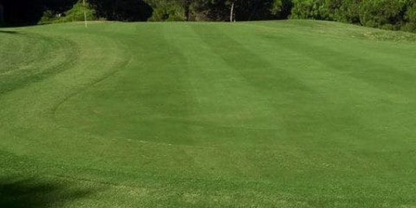 Almenara golf (10) (Klein)