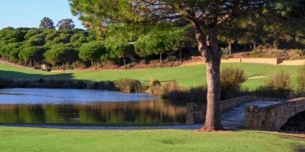 Almenara golf (3) (Klein)