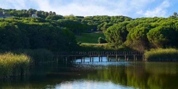 Almenara golf (5) (Klein)