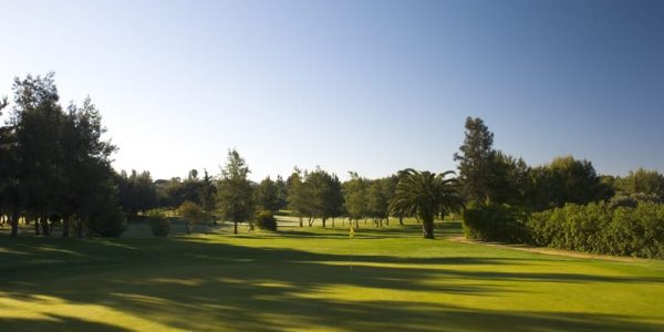 Alto Golf 2