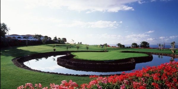 Amarilla Golf