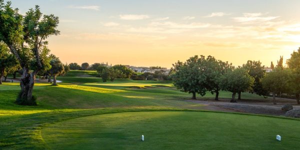 Aphrodite Hills resort golfarrangementje Golfreizen (80)
