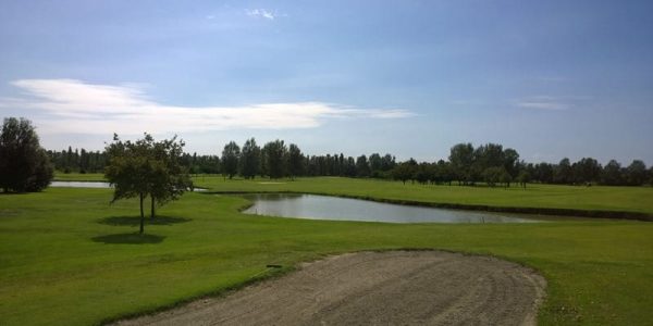 Argenta 6