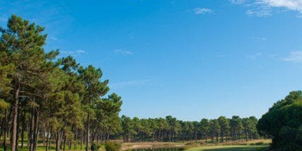 Aroeira Lisbon Hotel Sea & Golf Resort Orizonte golfvakantie portugal lissabon (4)