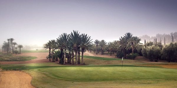 Assoufif golf Marokko marrakech arrangement (7)