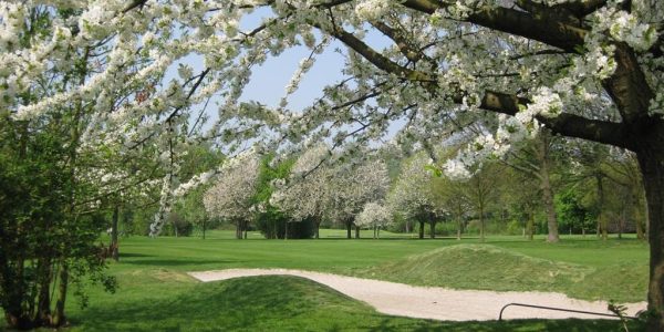 Brabantse Golfcourse