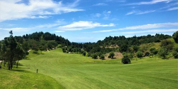 Chaparral golfarrangementje