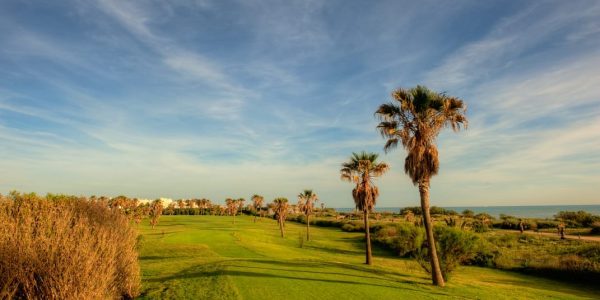 Costa-Ballena-13-tee
