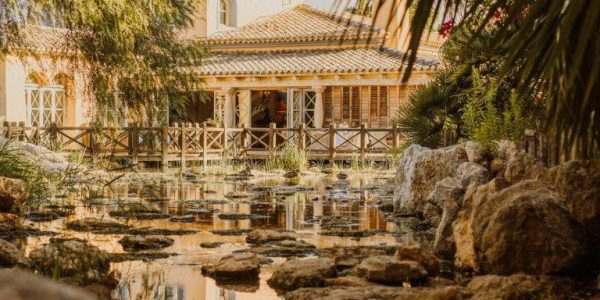 DESERT SPRINGS