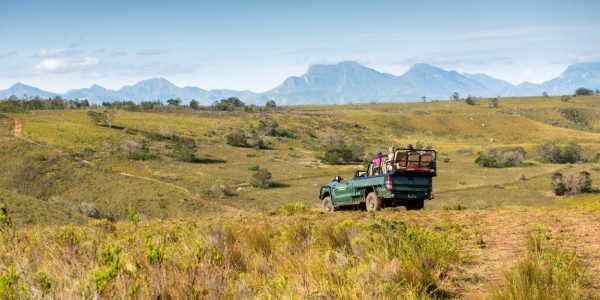 Game Drive Safari Gondwana golfreis golfarrangementje zuid afrika (7)