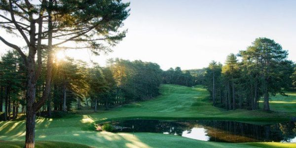 Golf Hardelot golfarrangememtje (5)