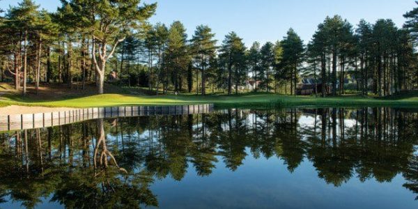 Golf Hardelot golfarrangememtje (8)