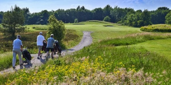 Golf Lodge Drenthsche golf golfvakantie nederland (3)