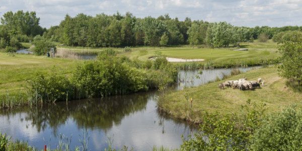 Golf Lodge Drenthsche golf golfvakantie nederland 8 (10)