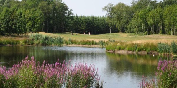 Golf Lodge Drenthsche golf golfvakantie nederland 8 (11)