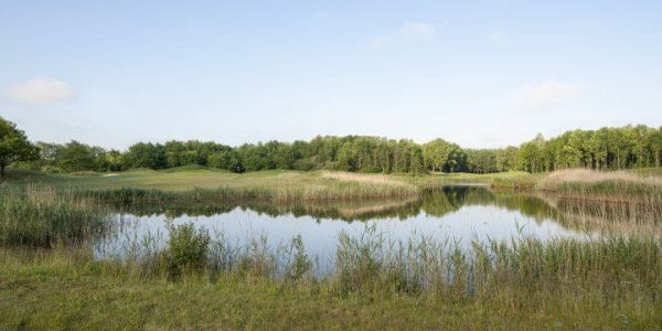 Golf Lodge Drenthsche golf golfvakantie nederland 8 (3)