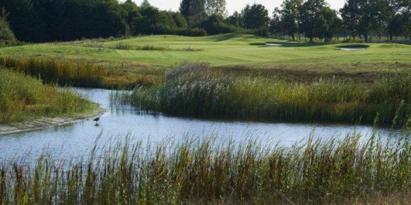 Golf Lodge Drenthsche golf golfvakantie nederland 8 (6)
