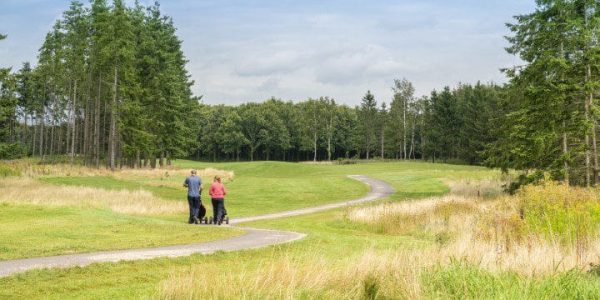 Golf Lodge Drenthsche golf golfvakantie nederland 8 (7)