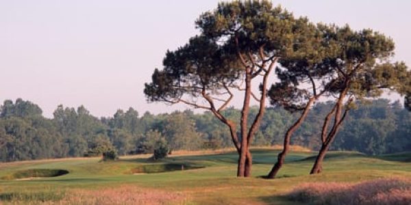 Golf de Touquet3