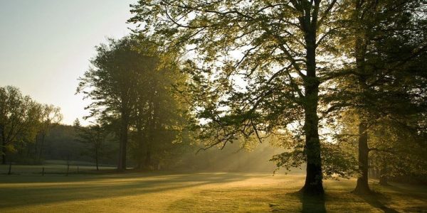 Golf nederland kasteel Engelenburg Golfbaan 4