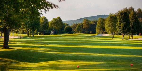 Golf vakantie duitsland gut heckenhof golfarrangementje (9)