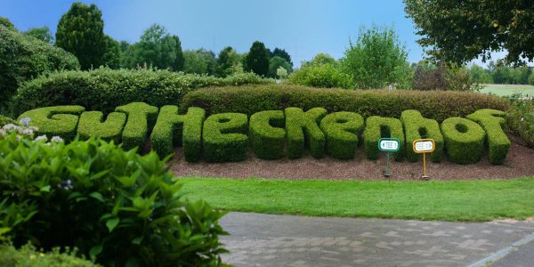 Golf vakantie duitsland gut heckenhof