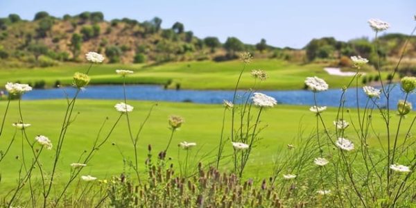 Golf vakantie portugal Monte rei aanbieding lastminute12