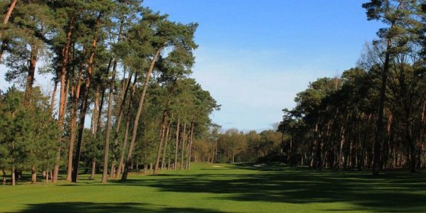 Golf wouwse plantage golfreis golfarrangementje 6
