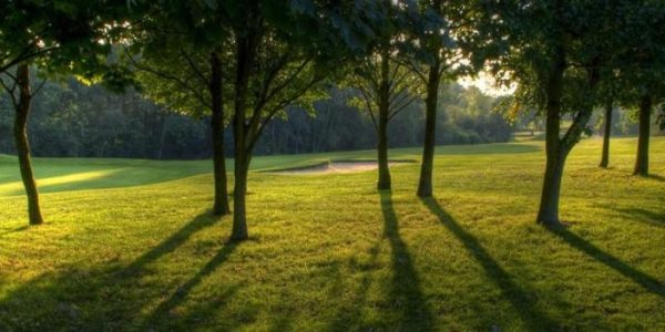 Golfbaan