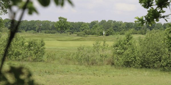 Golfarrangementje Golfreizen hotel de villa De Turfvaert (1)