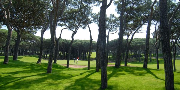 Golfbaan2