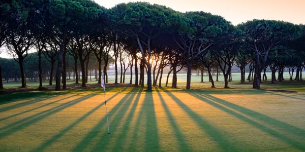 Golfbaan3