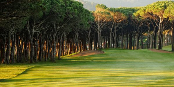 Golfbaan4