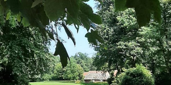 Golfvakantie belgie Hotel Bossenstein 5