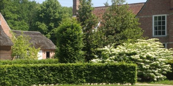 Golfvakantie belgie bossenstein 4