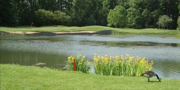 Golfvakantie belgie bossenstein 6