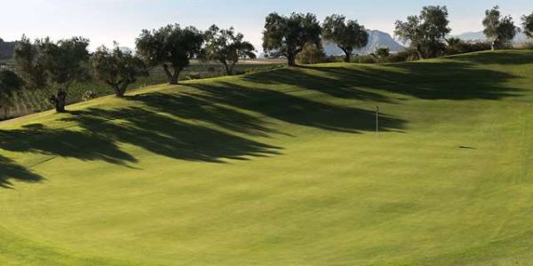 Golfvakantie la Finca golf en spa spanje07