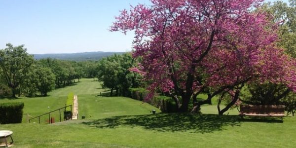 Golfvakantie spanje Madrid golf citytrip La_Herreria_GC2