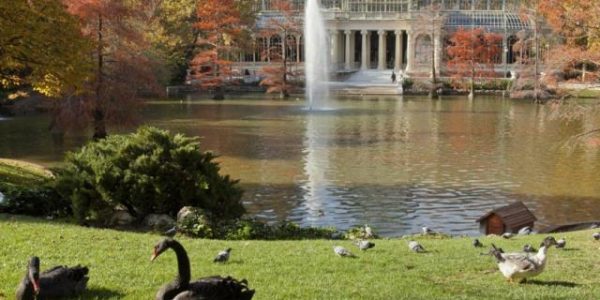 Golfvakantie spanje Madrid golf citytrip  hotel Wellington & Spa  9