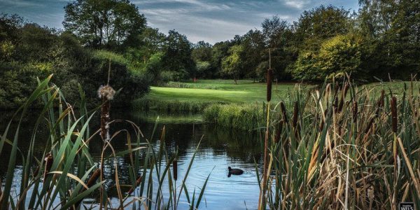 Henri Chapelle Golfarrangementje Belgie (2)