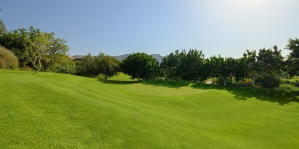 Hotel Envia Almeria golfarrangementje golfreizen (7)