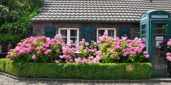 Hotel zur Linde Wellings Romantik golf reis Duitsland golfarrangementje 7