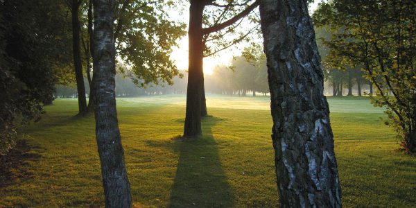 Hotel zur Linde Wellings Romantik golf reis Duitsland golfarrangementje issum golf 4