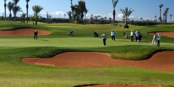 #IBEROSTAR CLUB PALMERAIE MARRAKECH #golfvakantiemarokko11005
