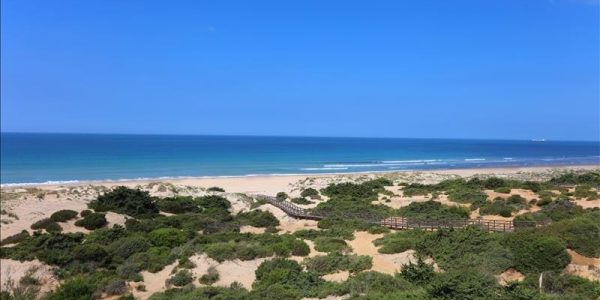IBSTAR_ANP_PG_R-BEACH_D1603_010