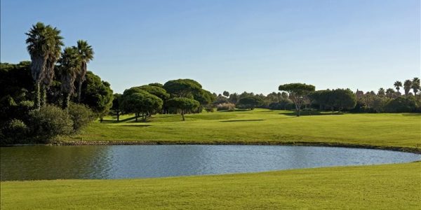 IBSTAR_GSP_IB_GOLF_D0000_012