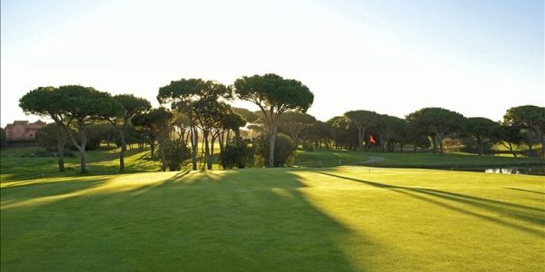 IBSTAR_GSP_IB_GOLF_D0000_018
