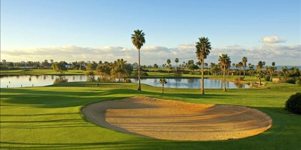 IBSTAR_GSP_IB_GOLF_D1305_045