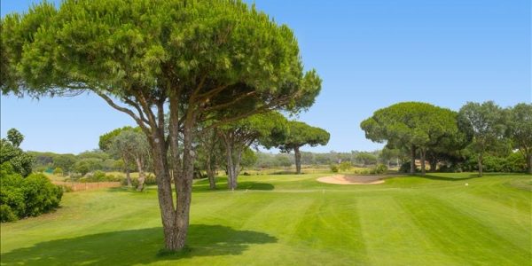IBSTAR_GSP_IB_GOLF_D1510_001