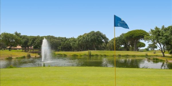 IBSTAR_GSP_IB_GOLF_D1510_003